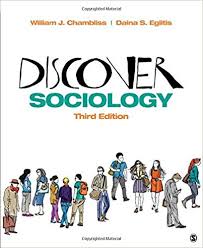 Discover Sociology 3rd Edition by William J. Chambliss Daina S. Eglitis ( Sage Publisher )